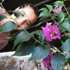 مستخدم مجهول