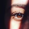 profile/نبأ-زياد