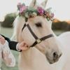 profile/fatma-faik-alshref