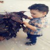مستخدم مجهول