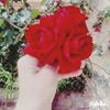 profile/رغد-حناتله