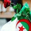 profile/فاتح-الجزائري