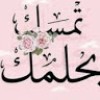 profile/حبيب-العراقي