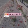 مستخدم مجهول