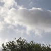 profile/شذى-الشهري