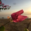 profile/أنوار-ال-الشيخ