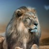 profile/khaled-mohammad-1