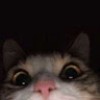 مستخدم مجهول