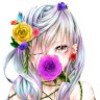 profile/noriko-hajoca