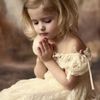 profile/walaa-el-awady