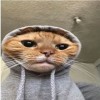 مستخدم مجهول
