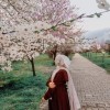 profile/فرح-القواسمي-1