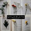 مستخدم مجهول