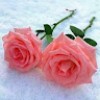 https://cdn.ujeeb.com/users/100*100/6PT3mIw0zWfQuiZY6aDJjsm0rw5C3Y4h.jpg