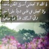 profile/نسرين-العموش