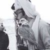 profile/محمد-عمر-6
