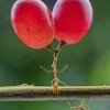https://cdn.ujeeb.com/users/100*100/7u4mPjLyP5qxs5GCKH5djPHhkNGRBjXo.jpg