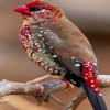 profile/ياسين-الراقي