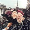 profile/رونا-جوري