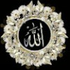 https://cdn.ujeeb.com/users/100*100/96XZqtKE5rVoNoivF23CXv5IBafvSdRm.jpg
