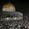 profile/سندس-ابو-هيفا