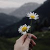https://cdn.ujeeb.com/users/100*100/9jOGqkXFkgOz1guxbO8WeTqhBhRjvynb.jpg