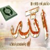 مستخدم مجهول