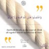 https://cdn.ujeeb.com/users/100*100/A2TbDaw8MP8DGnchUC2l0eruRpQSmKXm.jpg