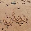 مستخدم مجهول