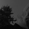 profile/ola-majayda