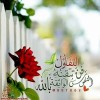 profile/محمد-احمد-52