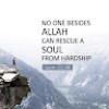 https://cdn.ujeeb.com/users/100*100/BcqcXY7Rdglm6EiYL91xhJUwGqWdVJB1.jpg