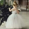 https://cdn.ujeeb.com/users/100*100/CSUCEqcqYiKWzYvOqql8HExA6dyn7OVr.jpg