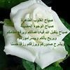 مستخدم مجهول
