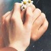 profile/نور-ابراهيم-الشمالي