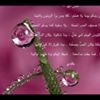 profile/amaal-jouda