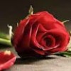 https://cdn.ujeeb.com/users/100*100/EQZcTXNVE2ALhPKugKrs0YMUVUVOAjuo.jpg
