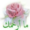 https://cdn.ujeeb.com/users/100*100/EhZPbDSesSRgsYyxg9bpgbiFiOYRmqpO.jpg
