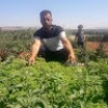 مستخدم مجهول