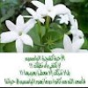 مستخدم مجهول