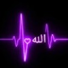 https://cdn.ujeeb.com/users/100*100/H30G5kBFhUZPcPJ0JPFriYPuNqqD7uOO.jpg