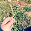 profile/سلاف-نواف