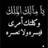 https://cdn.ujeeb.com/users/100*100/IjEX7287wfT5yAWsFPrracGhGbewxoQE.jpg