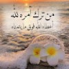https://cdn.ujeeb.com/users/100*100/Jo6SJ9vS0UvZXPm9XoXaqnwpQPv2HRno.jpg