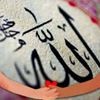 profile/sahar-ahmed