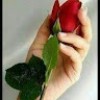 https://cdn.ujeeb.com/users/100*100/KdsBRpMvL9OIvZXaIM6YpEIbyEHoBYMZ.jpg