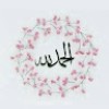 مستخدم مجهول