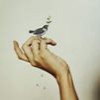 profile/سحر-عبدالجواد