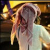 profile/ahmed-alawlaqi