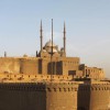 profile/محمد-سعيد-عبدالرحمن